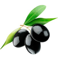 М Маслини 20 гр.