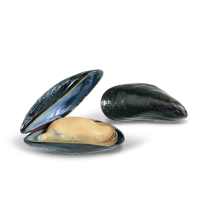 М Мідії 20 гр.